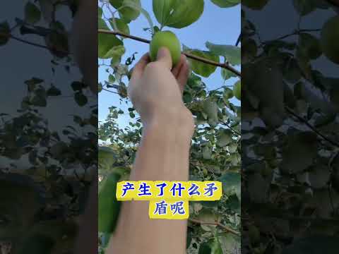 女县长爱出风头 サムネイル