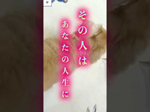 【嫌われるのが怖いですか？】あなたを嫌う人の本質【嫌われる勇気】#Shorts #嫌われる勇気 #恋愛 #人間関係  #人間心理 #不安 サムネイル