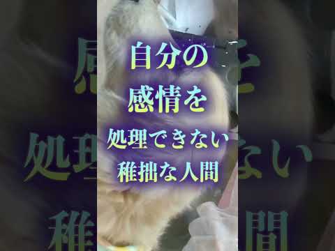 【助けたら人生終了】この3つに該当する人を助けてはいけない理由【人間関係の悩み】#Shorts サムネイル