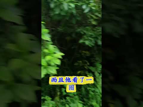 公园里卖淫被抓 サムネイル