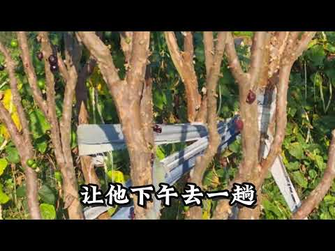 欲望 サムネイル