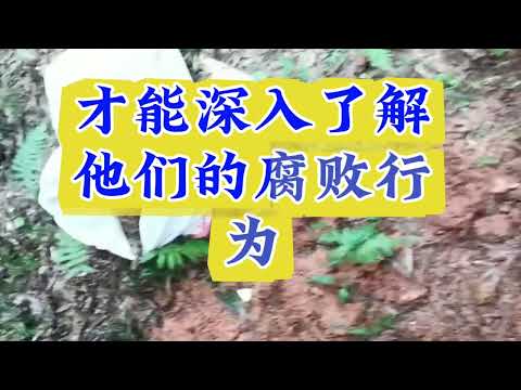 少妇护士受不了了，在床上就开始了 サムネイル