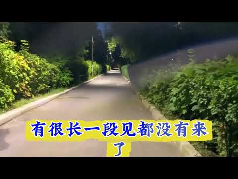 床戏下的秘密 サムネイル