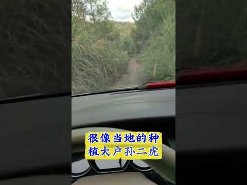 被人暗算的少妇 サムネイル