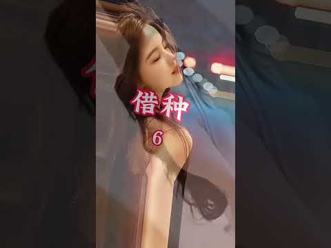 少妇和村长一发不可收拾。#剧情 #家庭 #drama #伦理 #情感 #婚姻 #婆媳 #love #背叛 サムネイル
