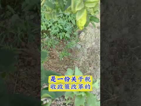 伸出援手还是 サムネイル