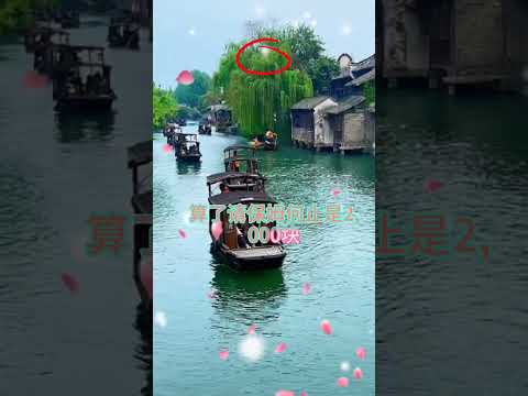 自私的儿媳妇 サムネイル