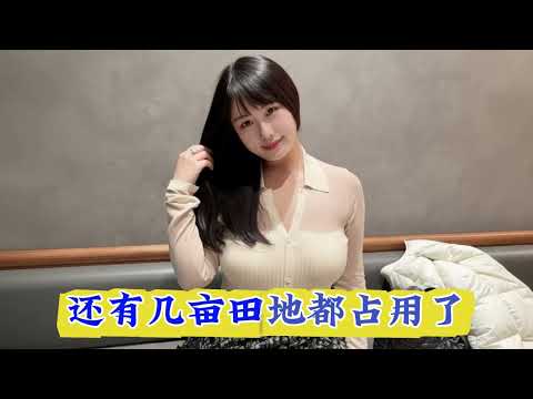 最後的陪嫁 サムネイル