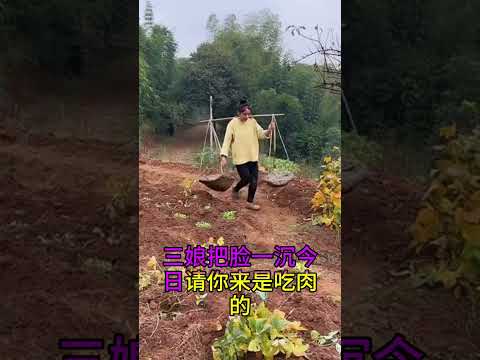 寡妇和猪 サムネイル