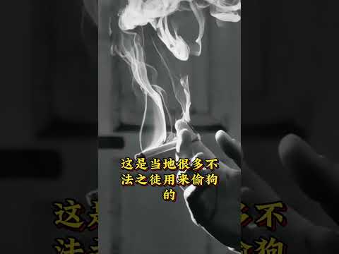 这家变态 サムネイル