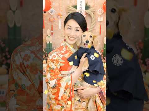 【2026年初動画】あけましておめでとうございます！AIで蘇った愛犬との正月#ShortsJapanese New Year's:  most luxurious traditional kimono サムネイル